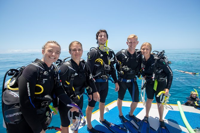 4-Day PADI Open Water Dive Course - Learn to Dive on the Great Barrier Reef - Key highlights worth planning around