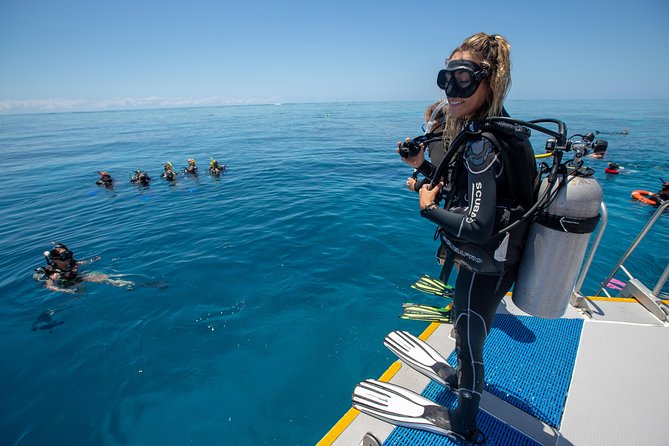 4-Day PADI Open Water Dive Course - Learn to Dive on the Great Barrier Reef - Wildlife on the UNESCO Great Barrier Reef: what to expect and how to make the most of it