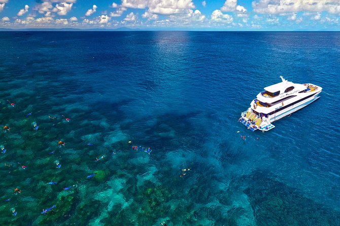 4-Day PADI Open Water Dive Course - Learn to Dive on the Great Barrier Reef - Certification after four days: how useful is the PADI Open Water credential?
