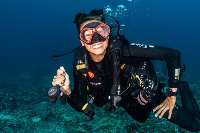 5 Fun Dives in Nusa Lembongan (for certified divers) - Swim with a Mola Mola - Key highlights worth planning around