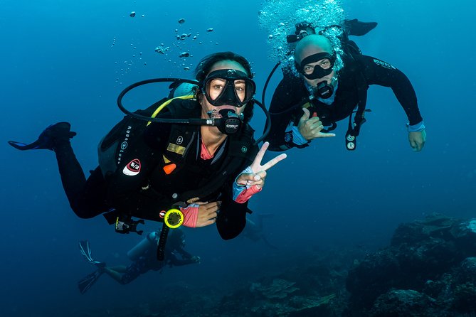 5 Fun Dives in Pemuteran (for certified divers) - Exploration in Menjangan Park - Price and value check: what $180.56 includes, and what it doesn’t
