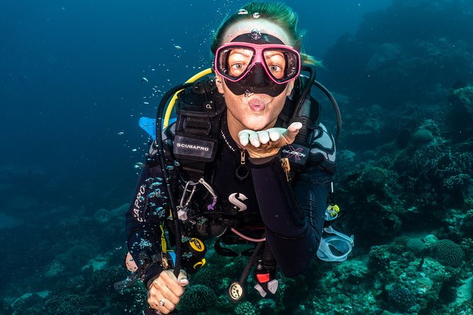 5 Fun Dives in Pemuteran (for certified divers) - Exploration in Menjangan Park - What you’ll actually explore: the five underwater sessions
