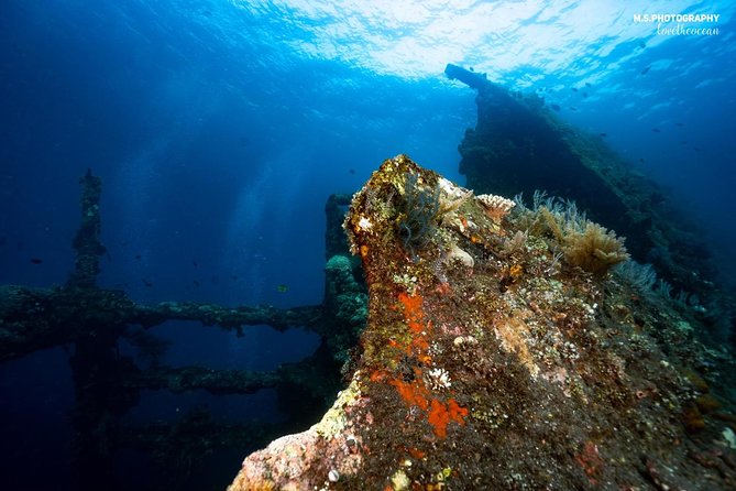 5 Fun Dives in Tulamben (for certified divers) - Discover famous diving sites - Tulamben Beach and the shore-entry rhythm you should expect