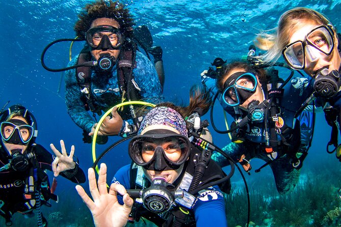 6 days unlimited diving - Key highlights you’ll care about