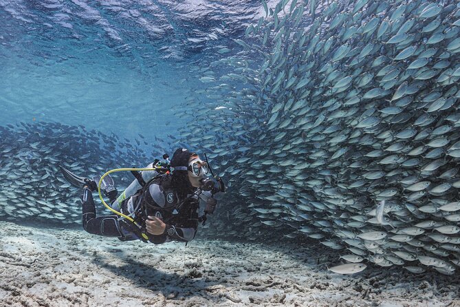 6 days unlimited diving - Tank exchanges across the island: easy to keep moving