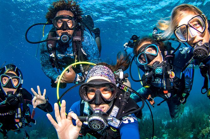 6 days unlimited diving - Timing and hours: plan around the shop window