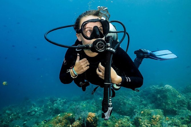 7 Fun Dives in Nusa Lembongan (for certified divers) - Premium Value Package - Mangrove Point at Nusa Lembongan: Different Scenery, Different Kinds of Life