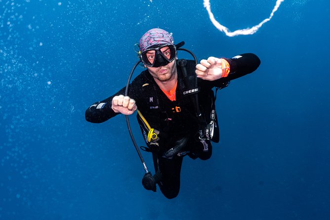 7 Fun Dives in Pemuteran (for certified divers) - Exploration in Menjangan Park - How the day works: 08:00 prep, two or three outings, then island breaks