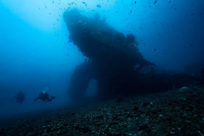 7 Fun Dives in Tulamben (for certified divers) - Premium Value Package - Small-group rhythm and easy transfers from Amed/Tulamben