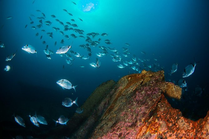 A day at the beach and diving - Lunch, Soft Drinks, and Why That Changes the Value