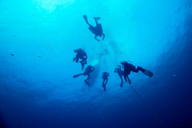 A day at the beach and diving - Price at $289.11: Is This Worth It?