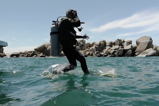 Acapulco Beginners Scuba Diving - Timing and language: a Friday-morning kind of plan