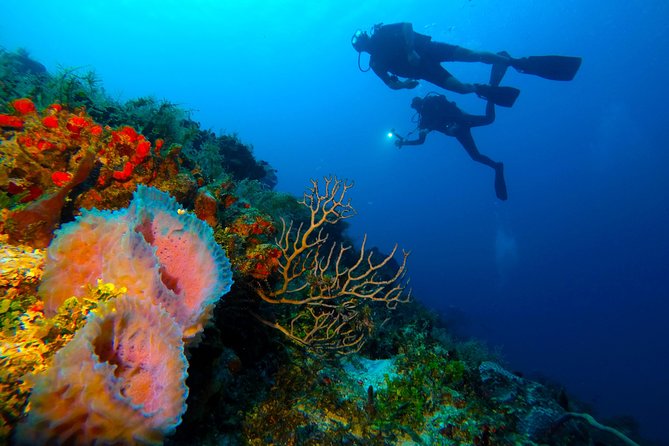 Advanced Open Water Diver course PADI in Playa del Carmen - Required skill block two: Underwater navigation that keeps you oriented
