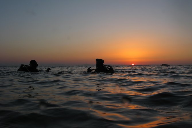 Adventure Dives for Certified Divers in Nea Makri, Athens - Key Things That Make This Outing Worth It