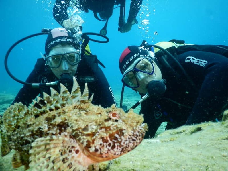 Agia Pelagia: Introduction to Scuba Diving Experience - Key points to know before you book