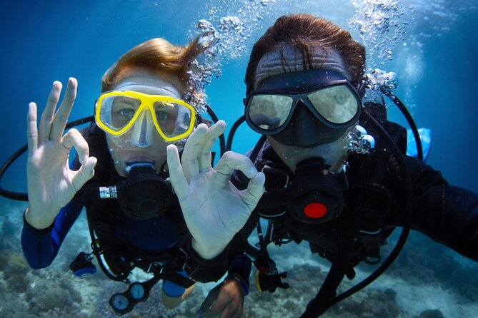Alanya Scuba Diving Adventure: 2 Guided Dives with Lunch - Key highlights worth your attention