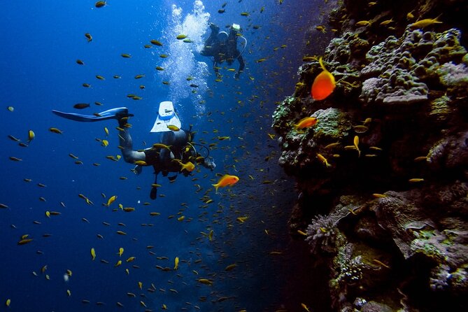Alanya Scuba Diving Adventure: 2 Guided Dives with Lunch - First-time friendly: how this Alanya scuba experience really feels