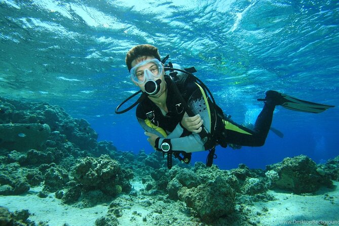 Alanya Scuba Diving Adventure: 2 Guided Dives with Lunch - Safety briefing + gear setup: what you actually get before water time