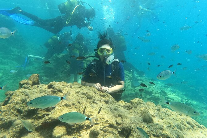 Alanya Scuba Diving Adventure: 2 Guided Dives with Lunch - Underwater Stop 1 (before lunch): beginner-friendly depths and the fish factor