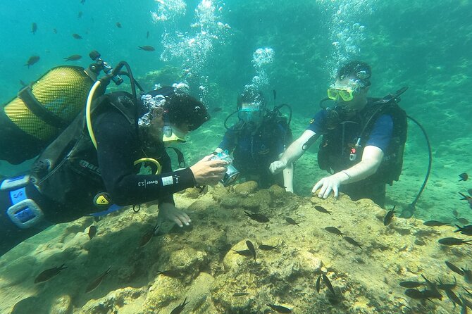 Alanya Scuba Diving Adventure: 2 Guided Dives with Lunch - Lunch onboard: a real break, not just a snack