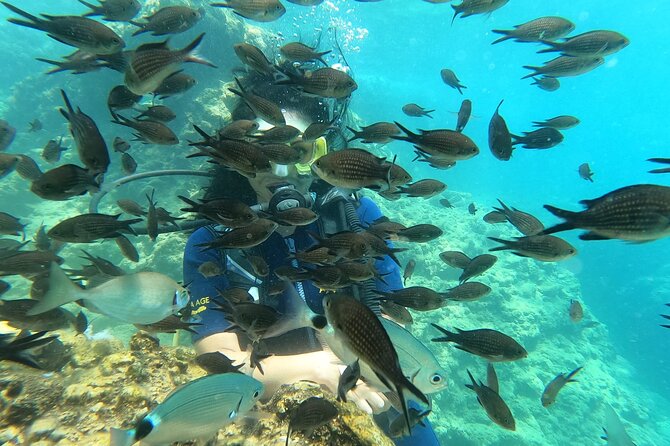 Alanya Scuba Diving Adventure: 2 Guided Dives with Lunch - Underwater Stop 2 (after lunch): calm-bay swimming with clear guidance