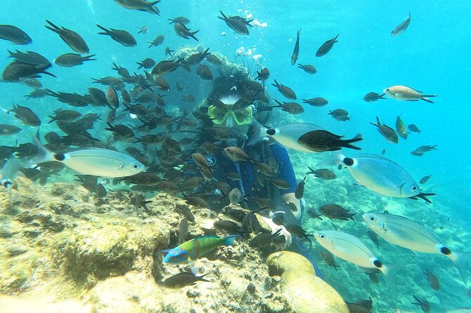 Alanya Scuba Diving Adventure: 2 Guided Dives with Lunch - The photo/video add-on: how to decide before the hard sell starts