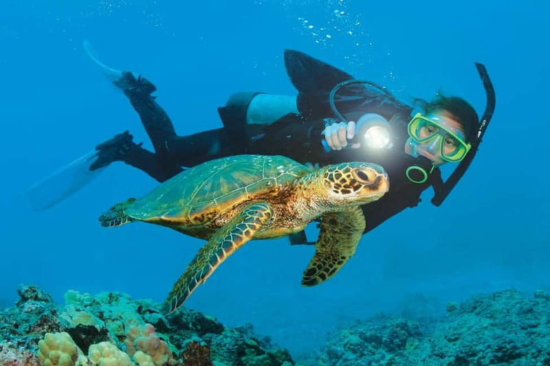 Alanya: Scuba Diving Adventure for Beginners & Professionals - First Underwater Session at 3–5 Meters for Confident Starts