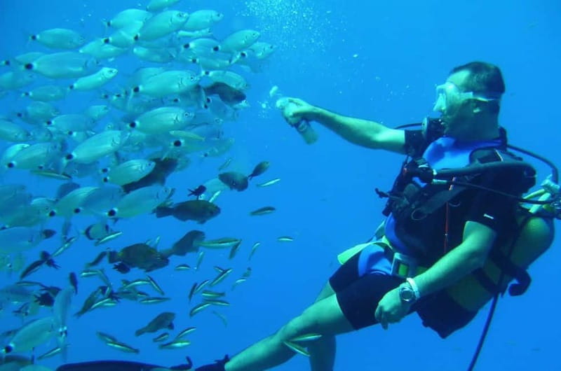Alanya: Scuba Diving Adventure for Beginners & Professionals - Lunch on Board, Sun Time, and the Mental Reset Between Sessions