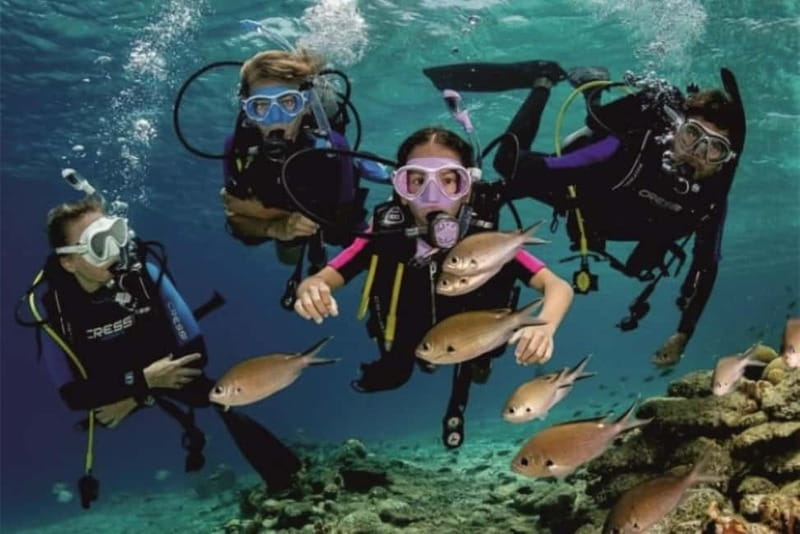 Alanya: Scuba Diving Adventure for Beginners & Professionals - Second Session at 5–7 Meters, Camera Use, and Recorded Footage