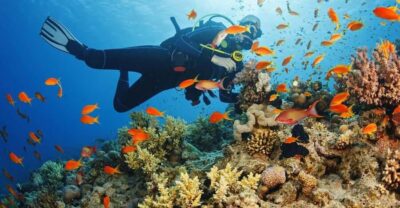 Alanya:Scuba Diving Boat Trip with Lunch and Transfer - Getting Ready With Gear and Basics (No Certification Needed)