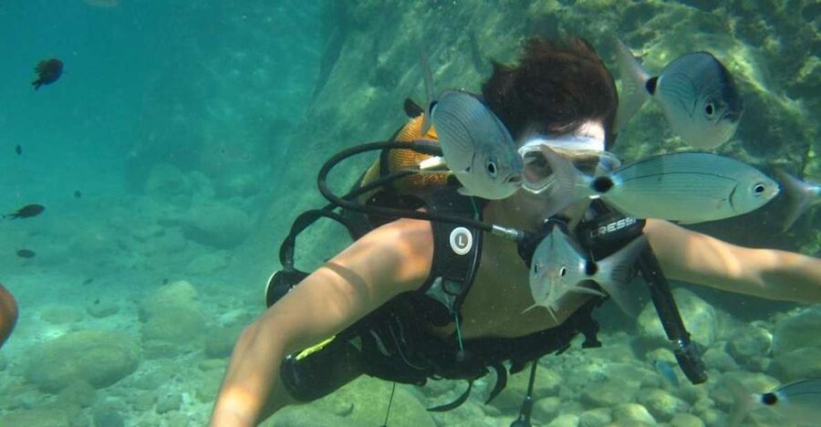 Alanya: Scuba Diving Experience with Lunch - Gear, briefing, and instructor support before you go underwater