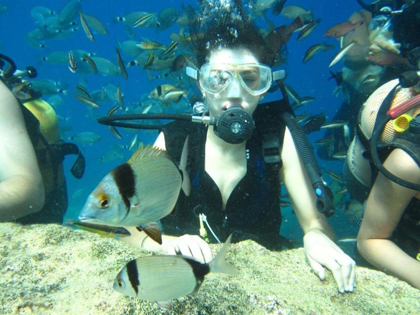 Alanya: Scuba Diving Experience with Lunch - Snorkeling included: plan for gear comfort, not just participation