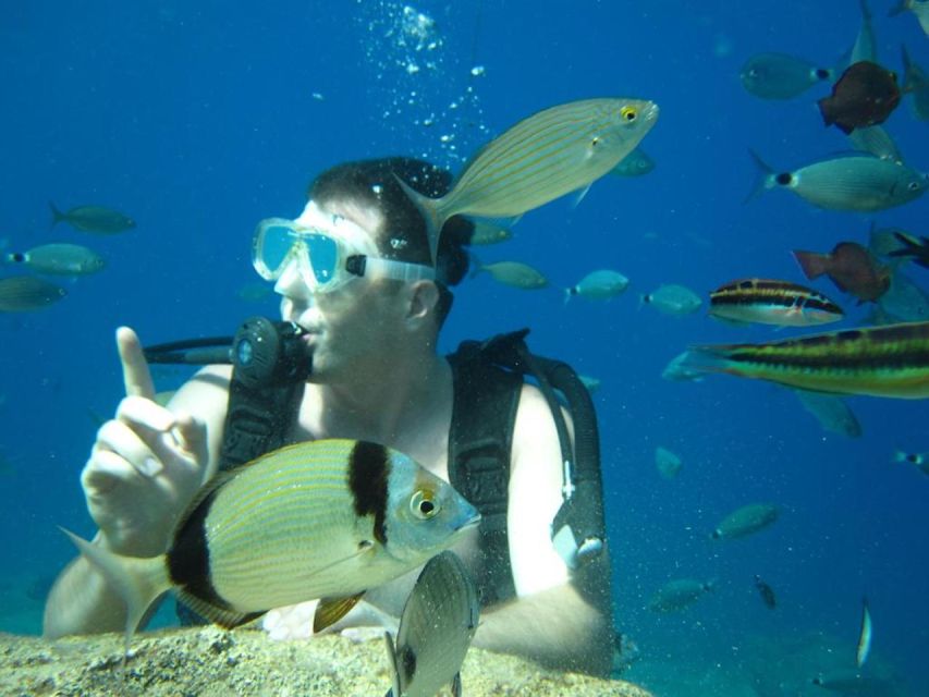 Alanya: Scuba Diving Experience with Lunch - Price check: is $50 worth it in Alanya?