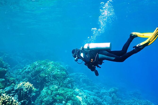 Alanya : Scuba Diving for Beginners w/ Lunch and Transfer - Alanya’s Setup for Beginners: Why This Feels Manageable