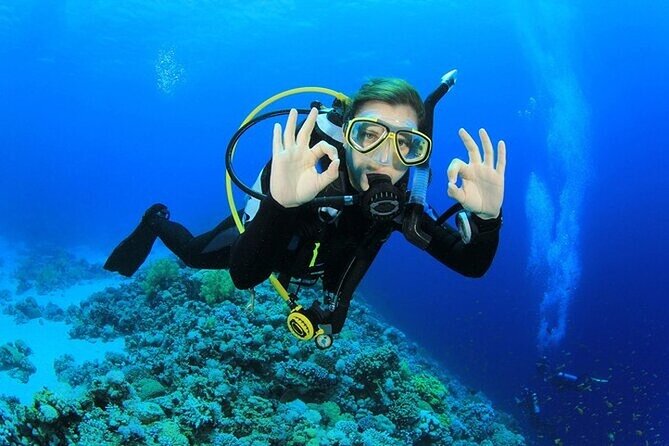 Alanya : Scuba Diving for Beginners w/ Lunch and Transfer - Price and Value: What $36.04 Covers (and Why It’s Fair)