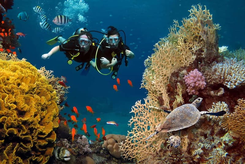 Alanya: Scuba Diving Tour with Lunch and Hotel Transfers - Key Things To Know Before You Go