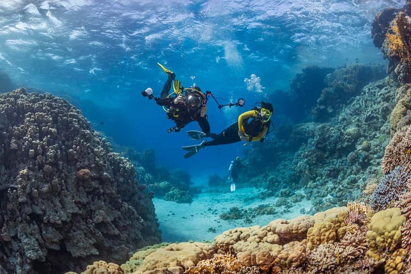 Alanya: Scuba Diving Tour with Lunch and Hotel Transfers - Warm Mediterranean Sea Caves, Reefs, And A Real Chance To See Fish
