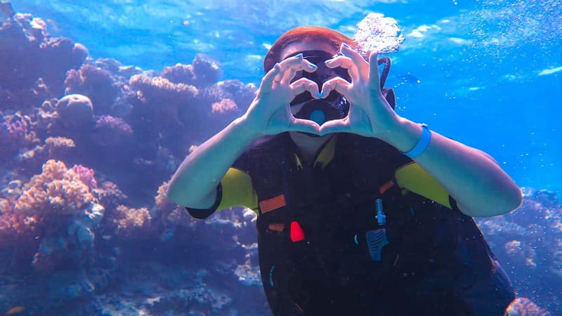 Alanya: Scuba Diving Tour with Lunch and Hotel Transfers - Lunch, Sea Time, And The Little Things That Make A Difference