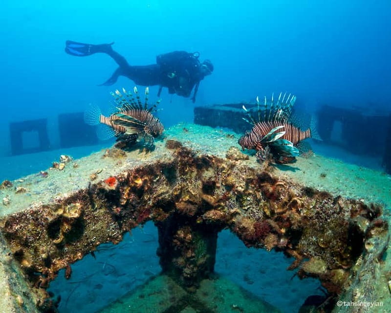 Alanya: Scuba Diving Tour with Lunch and Hotel Transfers - Who This Alanya Scuba Tour Fits Best (And Who Might Want To Compare)