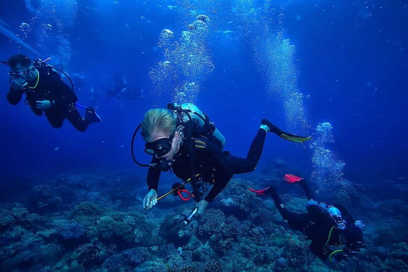 Alanya: Scuba Diving Tour with Lunch and Hotel Transfers - The Boat Ride And Transfers: A Day That Starts Easy