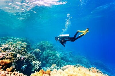 Alanya Scuba Diving with Hotel Transfer incl. Lunch - Getting to the boat: pickup from your hotel and a 9:30 start