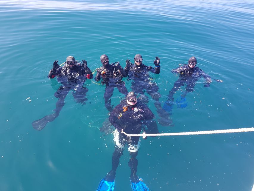 Albufeira: 2 DIVES TRIP (ONLY CERTIFIED DIVERS) - Key Takeaways Before You Go