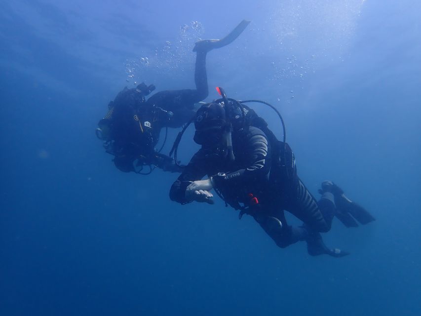 Albufeira: 2 DIVES TRIP (ONLY CERTIFIED DIVERS) - Marina to Boat: What the Morning Timing Really Means