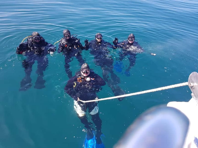 Albufeira: Scuba Diving Experience for Beginners - Key Highlights You’ll Feel Immediately