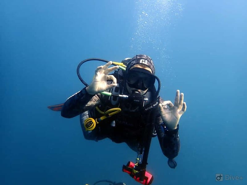 Albufeira: Scuba Diving Experience for Beginners - Boat Trip and the Sea Swim Up to 12 Meters