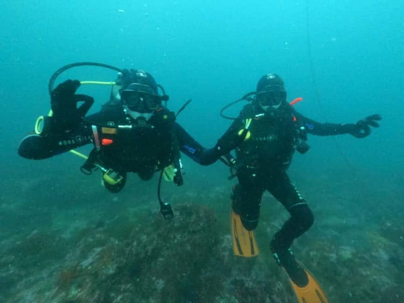 Albufeira: Scuba Diving Experience for Beginners - The 6-Month Certificate: How This Helps You Progress