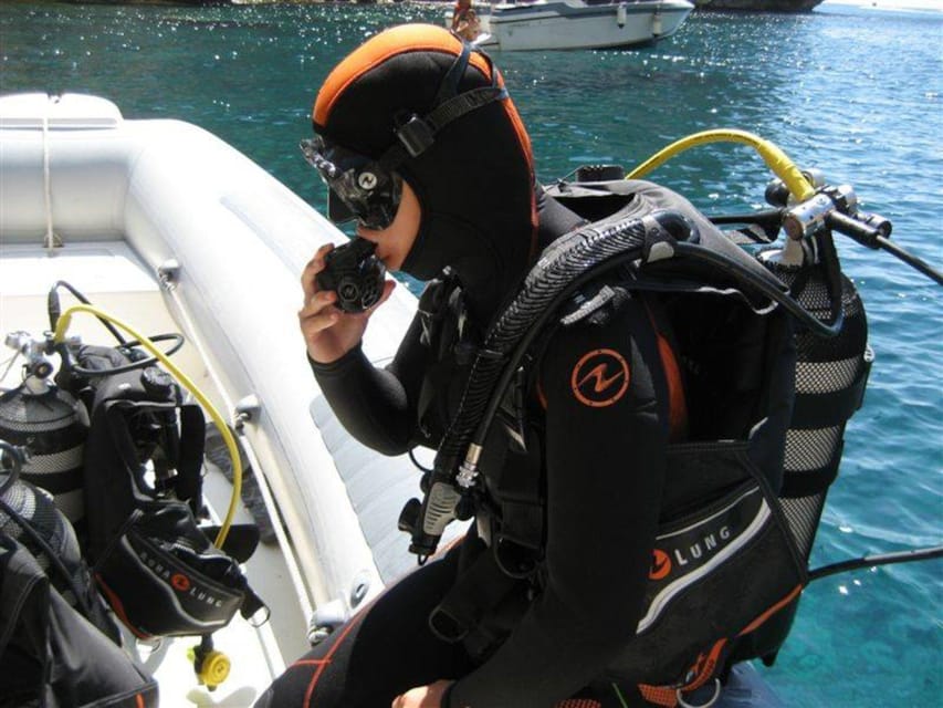 Alghero: discovery diving lesson for beginners - Key highlights worth knowing