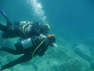 Alghero: discovery diving lesson for beginners - The 2.5 hours, step by step: from theory to calm control