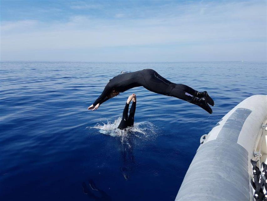 Alghero: discovery diving lesson for beginners - Price and value: is $161.43 fair for a first underwater session?