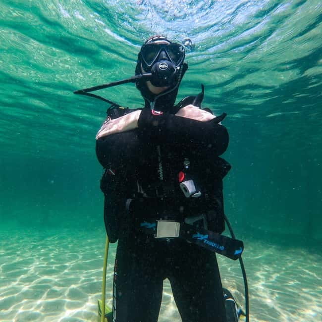 Alghero: Diving Experience - Who should book, and who should skip